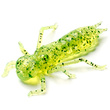 Dragonfly 1.5